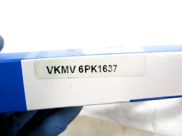 VKMV6PK1637 CINGHIA SERVIZI POLY-V SKF RENAULT SCENIC 1.9 DTI 72KW RICAMBIO NUOVO
